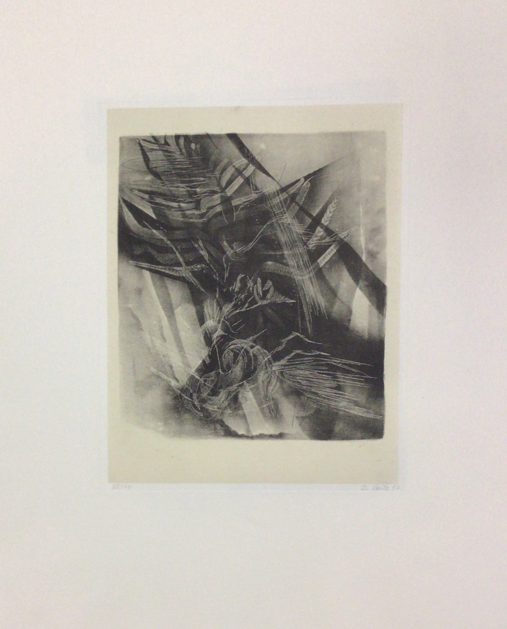 <i>Composition avec allusions végétales</i> 1969 – Lithographie, Papier de chine, 45x56 cm