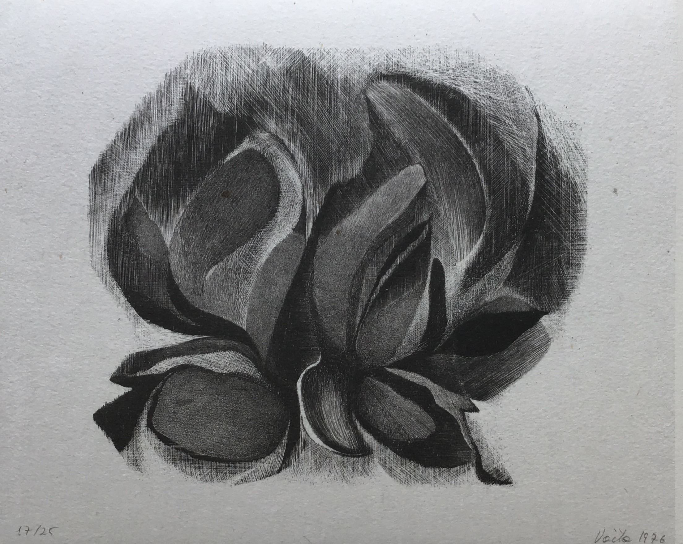 Bouquet 1976 – Lithographie, 37,5x53 cm