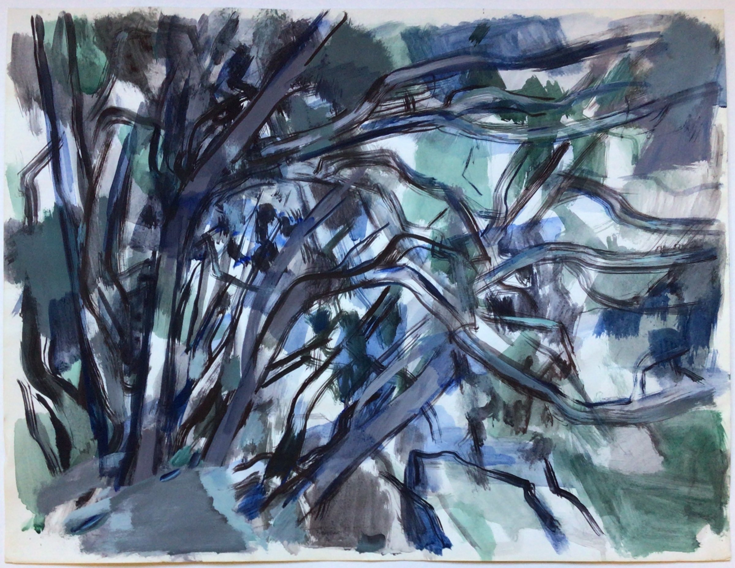 <i>Arbres tordus </i>  – Aquarelle, Gouache, Papier, 50x65 cm