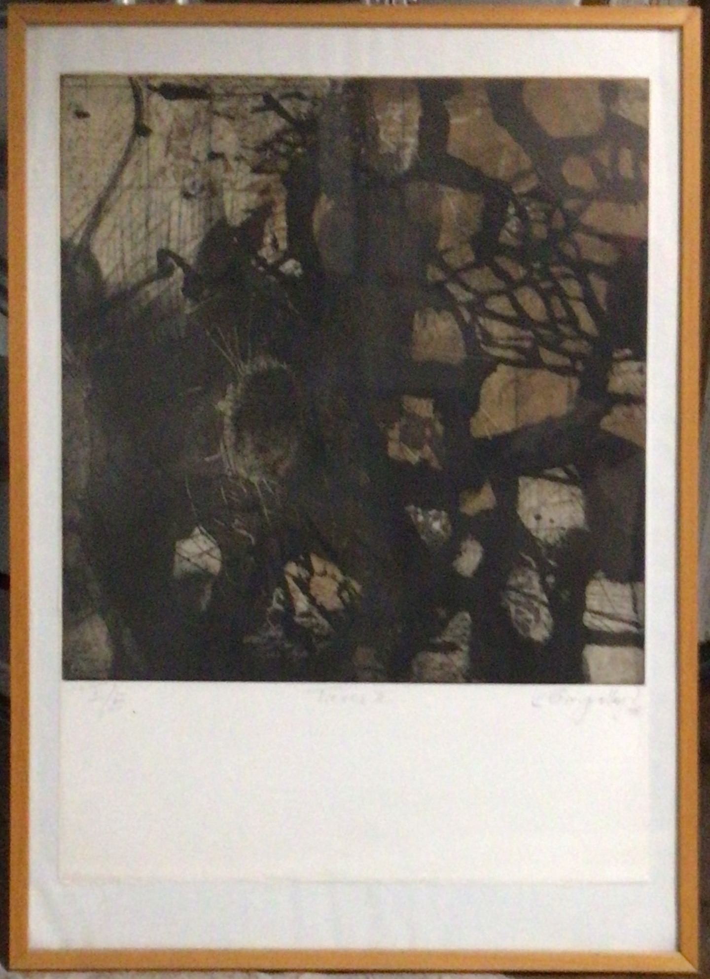Trees II 1995 – Aquatinte, Eau forte, Papier, 66x50 cm